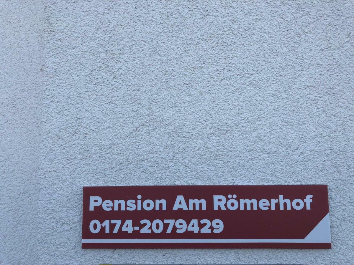 Pension Am Roemerhof Münzenberg المظهر الخارجي الصورة